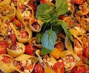 Conchiglie di giorno di pioggia