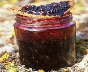 Confiture au Bleuet Sans Cuisson 