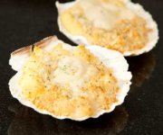 Coquilles Saint-Jacques crmeuse