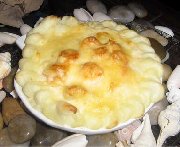 Coquille St-Jacques, sauce bchamel