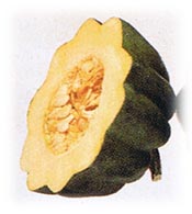 L'ABC de la courge
