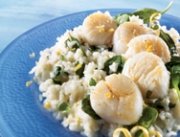 Pétoncles poêlés sur nid de risotto au mascarpone et au citron