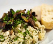 Risotto aux pleurotes et la crème de porcini