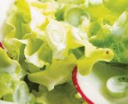 Salade verte à la crème