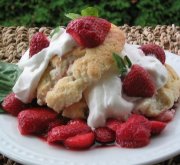 Shortcake aux fraises 4